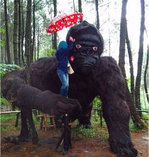 Nggak perlu ke Pasifik, Kong 'Skull Island' kini ada di Magelang