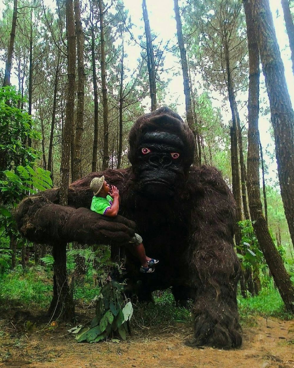 Nggak perlu ke Pasifik, Kong 'Skull Island' kini ada di Magelang