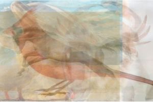 Hewan pertama yang kamu lihat di gambar ini bisa ungkap kepribadianmu