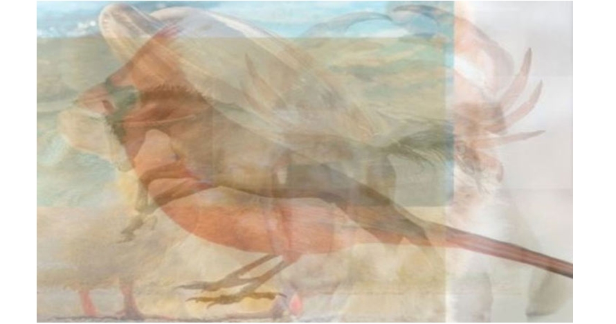 Hewan pertama yang kamu lihat di gambar ini bisa ungkap kepribadianmu