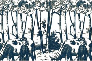 Kamu jenius jika bisa temukan tulisan 'marie' dalam 3 detik