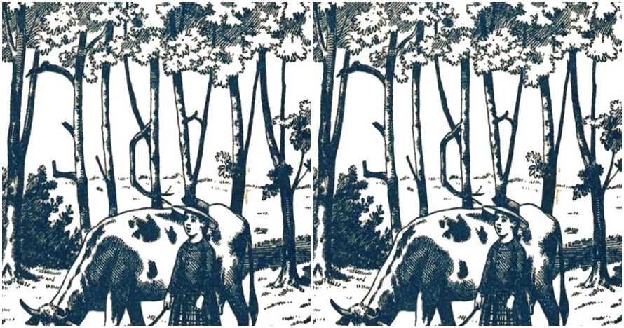 Kamu jenius jika bisa temukan tulisan 'marie' dalam 3 detik