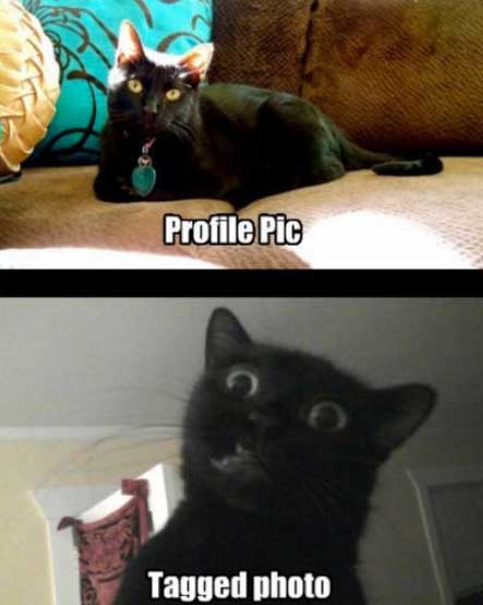 16 Meme kocak 'foto profil vs foto tag teman', bedanya bikin ngakak