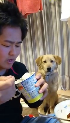 Video anjing mupeng makanan tapi gengsi ini bikin gemes juga kasihan