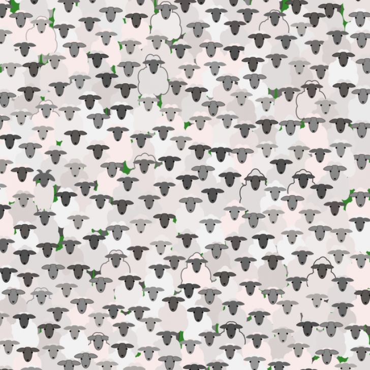 Kamu jago bisa temukan kambing di gambar ini dalam 5 detik, tes yuk