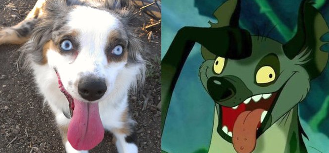 15 Foto cocoklogi kucing berwajah mirip karakter film, ada-ada aja