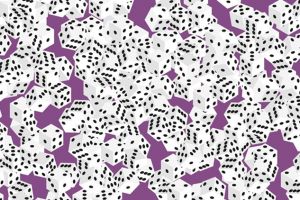 Uji kejelian mata yuk, cari sisi dadu dengan 7 titik di gambar ini