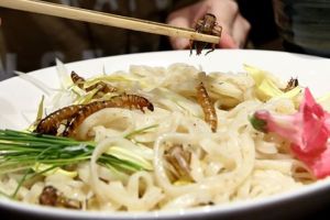 Restoran ini sajikan ramen dengan toping serangga, berani coba?