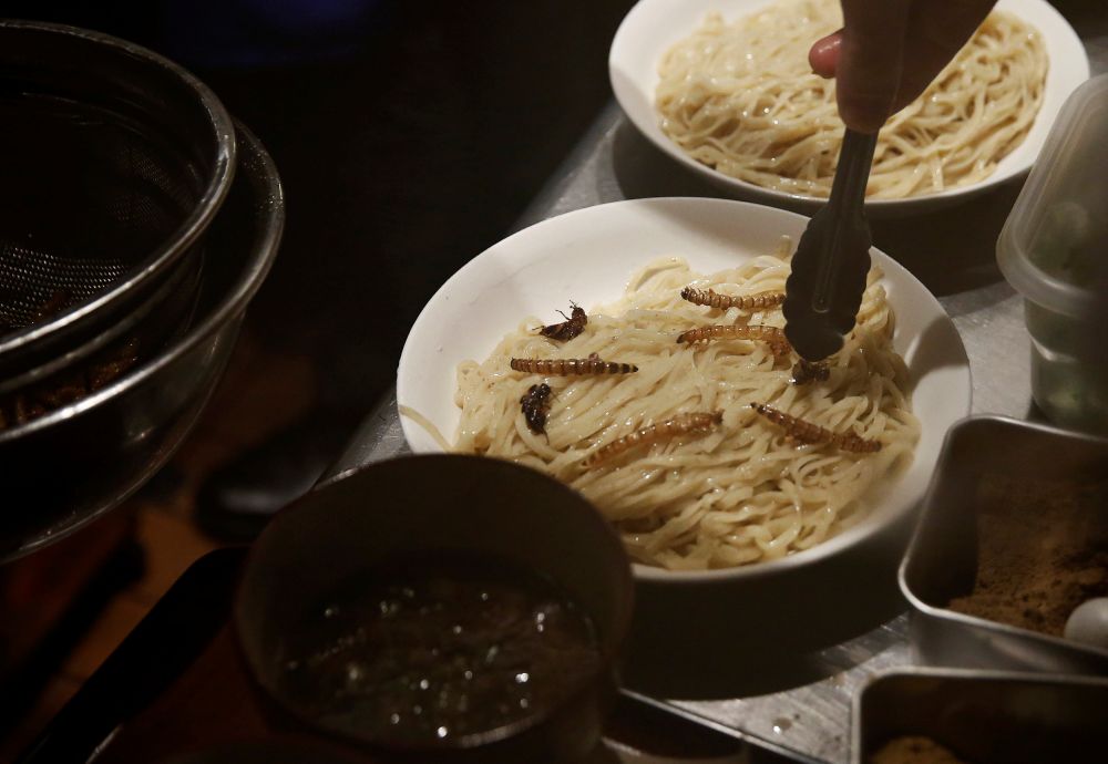 Restoran ini sajikan ramen dengan toping serangga, berani coba?