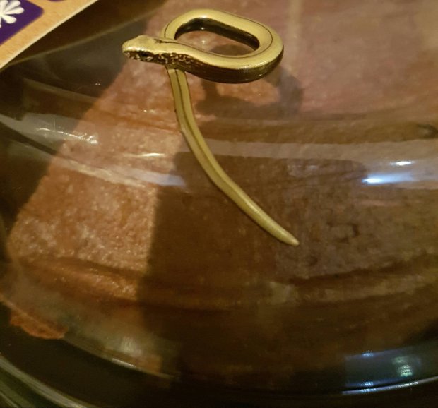 Mengerikan, wanita ini temukan ular terjebak di kue cokelat miliknya