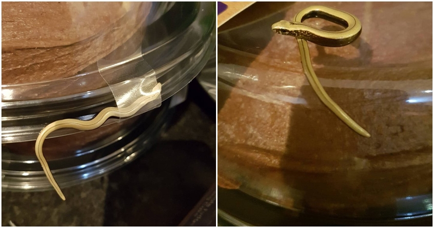 Mengerikan, wanita ini temukan ular terjebak di kue cokelat miliknya