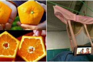 13 Potret unik ini bukti orang Asia kreatifnya nggak nanggung