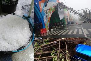 5 Potret kondisi Bandung diguyur hujan es, banyak pohon tumbang