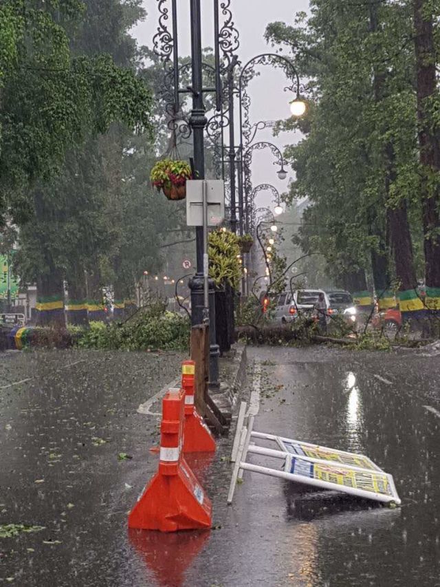 5 Potret kondisi Bandung diguyur hujan es, banyak pohon tumbang