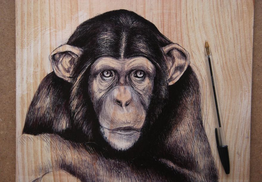 15 Lukisan hewan pakai pena di kanvas kayu ini hasilnya wow banget