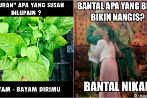 13 Meme tebak-tebakan ini lucunya receh banget, tarakdungces