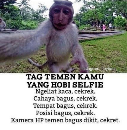 10 Meme 'tag teman kamu' ini lucunya bikin ingat sohib gokilmu