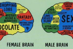 Sudah tahu belum? Ini 10 fakta unik beda tubuh wanita dengan pria