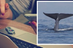 Ratusan remaja bunuh diri gara-gara permainan ini, duh serem banget