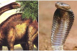 Cocoklogi asal-usul ular kobra dan dinosaurus ini ngocolnya kebangetan