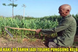 Tanpa kaki, petani ini 40 tahun jadi tulang punggung keluarga