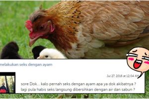 Bocah ini bertanya akibat seks dengan ayam, jawaban dokter bikin kaget