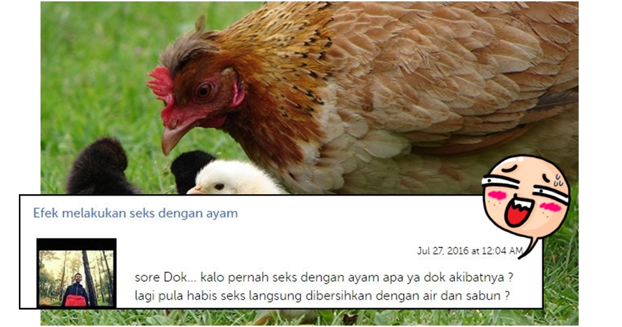 Bocah ini bertanya akibat seks dengan ayam, jawaban dokter bikin kaget