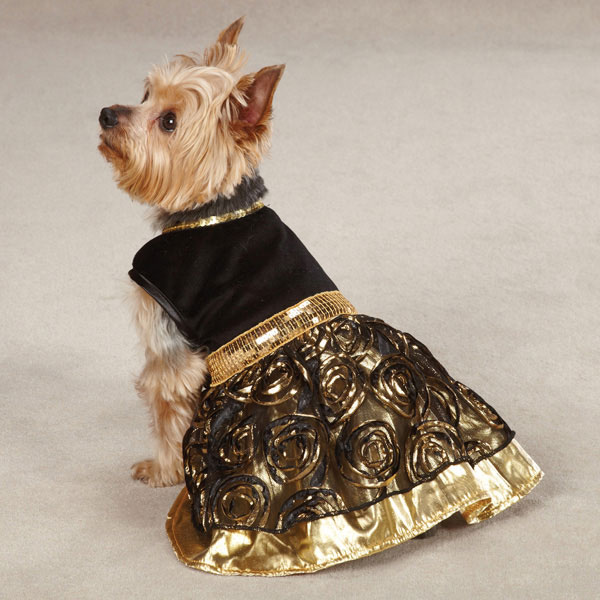 15 Potret ketika anjing 'ngerti fashion', leh uga nih 