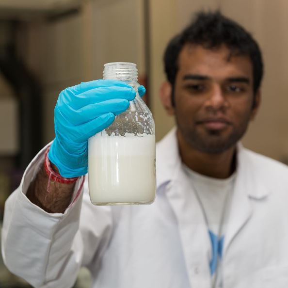 Unik, susu sapi buatan perusahaan ini diproduksi tanpa sapi