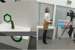 Pria ini letakkan nanas di pameran seni, respons orang bikin ketawa