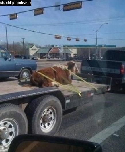 10 Kelakuan orang ini mengundang tawa, aneh-aneh aja