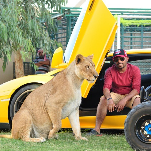 15 Potret ini buktikan kalau orang Jazirah Arab memang kaya raya, wow!