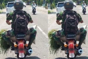 Potret anggota TNI bawa rumput pakai motor butut ini bersahaja banget