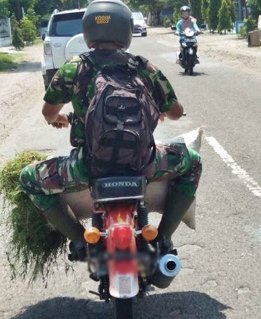 Potret anggota TNI bawa rumput pakai motor butut ini bersahaja banget