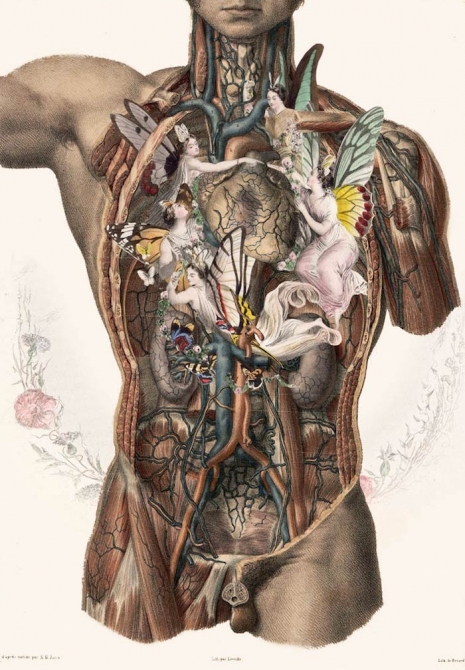 14 Ilustrasi surealis anatomi manusia, bikin kagum apa malah ngeri ya?