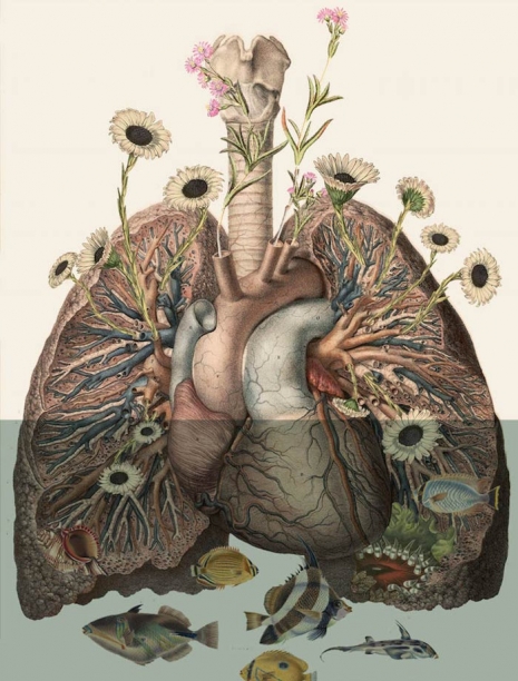 14 Ilustrasi surealis anatomi manusia, bikin kagum apa malah ngeri ya?