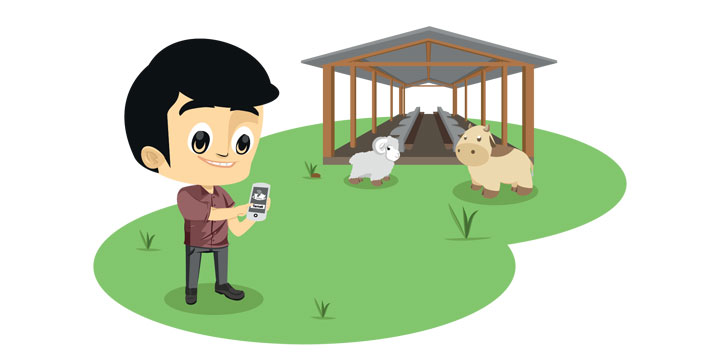 Angon, aplikasi beternak online tanpa harus turun ke kandang