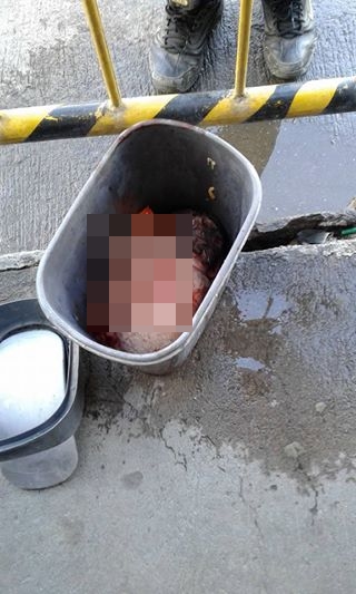 Tega banget orangtua ini, buang bayinya di tempat sampah