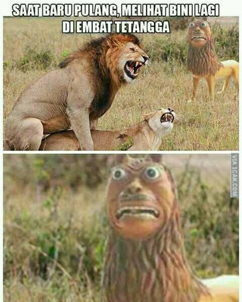 7 Meme patung adik Macan Cisewu dijamin bikin kamu sulit menutup mulut