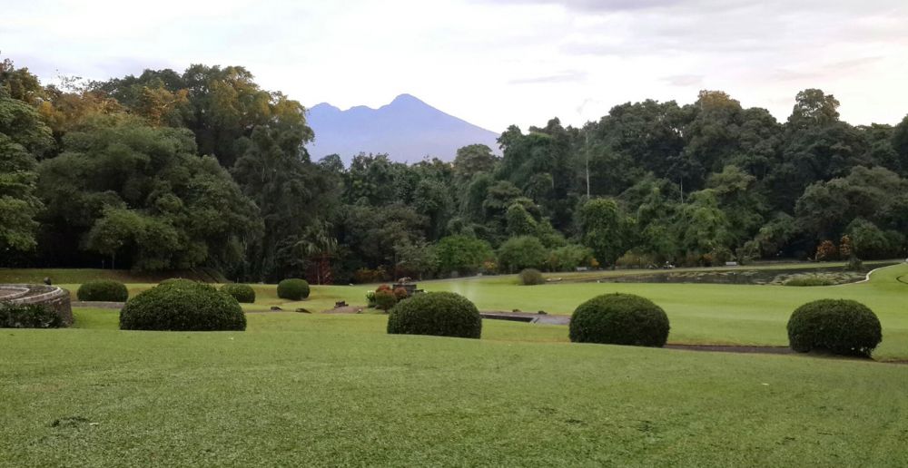 4 Bukti Kebun Raya Bogor patut dibanggakan, kini berusia 2 abad lho