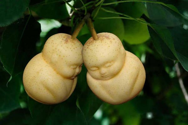 Selain sehat, buah dibentuk nyeleneh ternyata tingkatkan nafsu makan