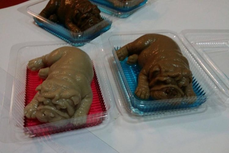 Puding 'anak anjing' ini tuai kecaman, bentuknya bikin mual