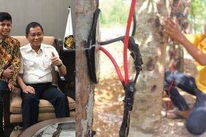 Memahami cara kerja pohon kedondong jadi listrik temuan bocah Aceh