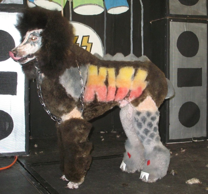 15 Potret saat anjing ikut kontes kecantikan, makin gaya dan lucu nih?