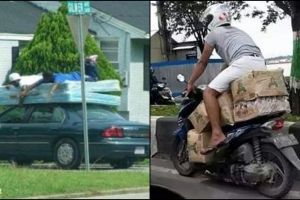 10 Foto kocak orang nekat bawa barang di kendaraan ini bikin mules