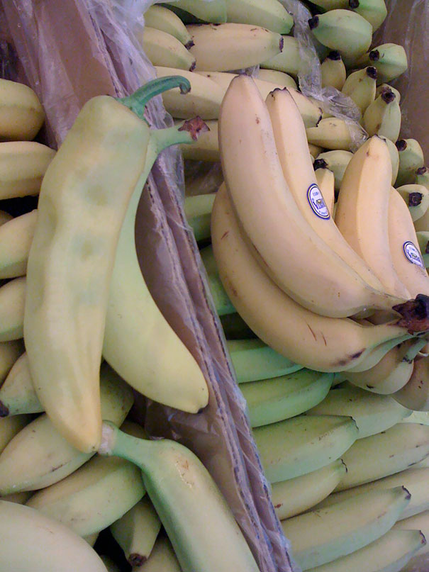 Ada yang salah dengan 15 foto ini, kamu bisa temukan keanehannya?