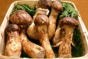 Ini kelebihan memanggang jamur daripada menumis atau merebusnya