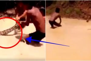 3 Bocah ini nekat memburu ular segede paha, endingnya bikin takjub