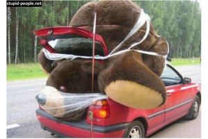 10 Foto lucu saat mobil dipaksa angkut barang yang tak semestinya, duh