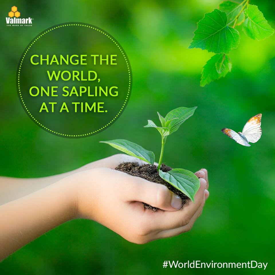 10 Pesan netizen di Hari Lingkungan Hidup, yuk ambil bagian